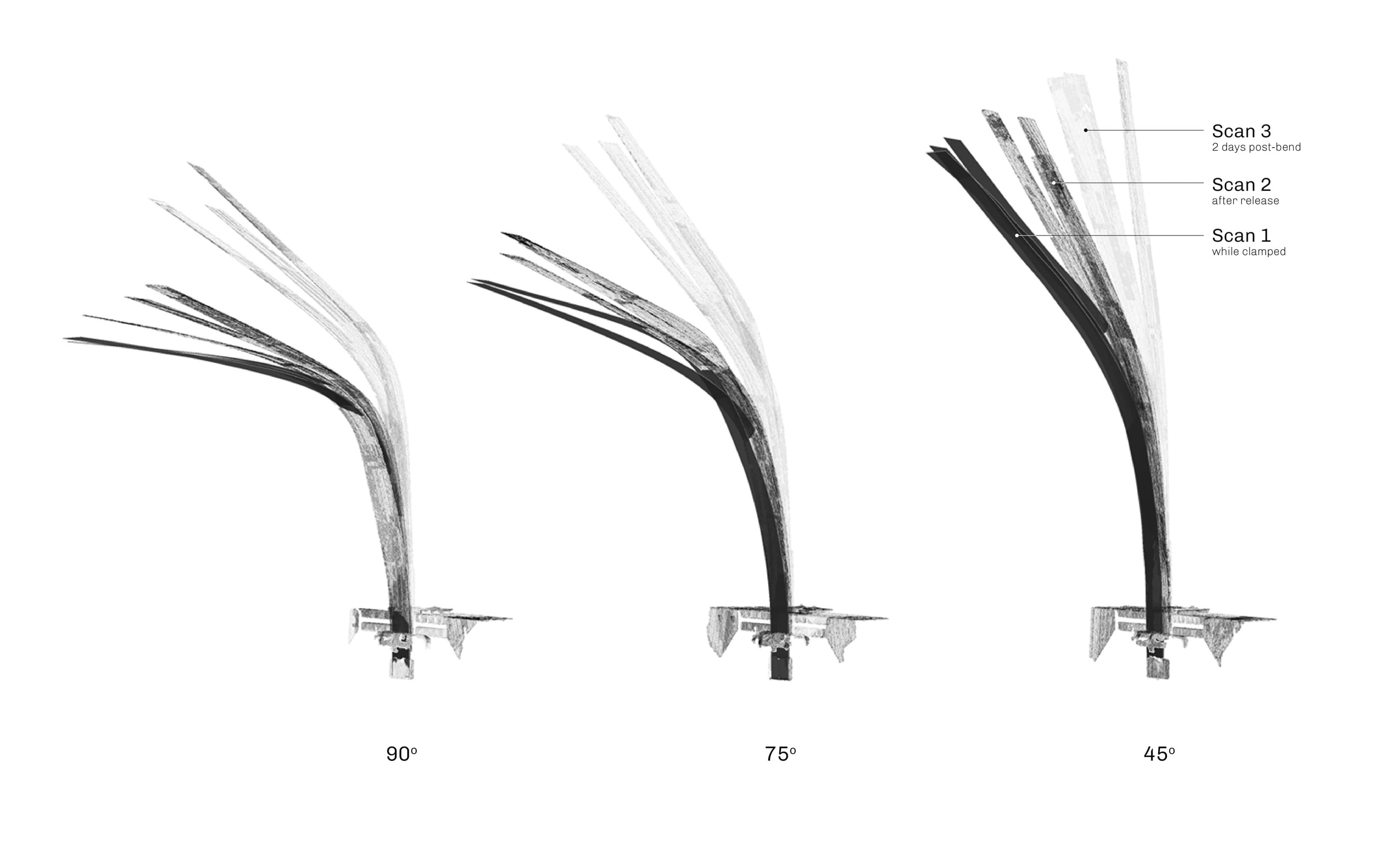 Three measured scan states of the robotic steam bent specimens
